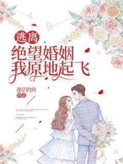 主角是小哲张林的小说 《逃离绝望婚姻，我原地起飞》 全文免费阅读