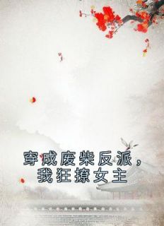 穿成废柴反派，我狂撩女主全文免费阅读 傅天凌苏幻雪小说最新章节完整版
